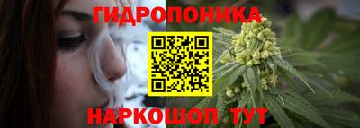дмт Мариинск
