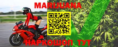 крисы Малгобек