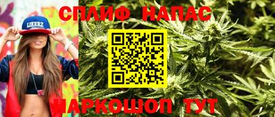 крисы Малгобек