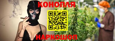 крисы Малгобек