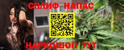 крисы Малгобек