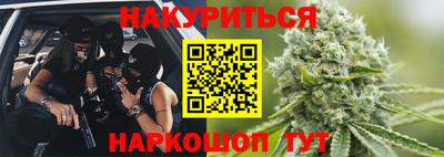 крисы Малгобек
