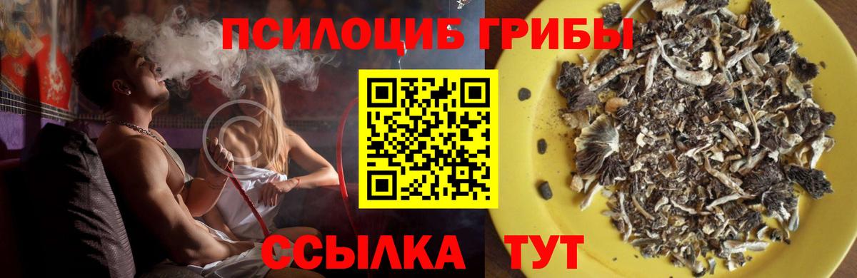 Ижевск  Галлюциногенные грибы Psilocybe  Вход с VPN  даркнет сайт  Псилоцибиновые грибы Psilocybine cubensis 